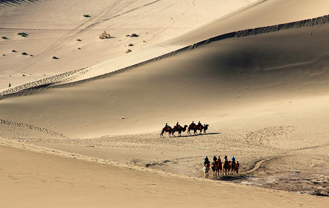  敦煌沙漠与骆驼