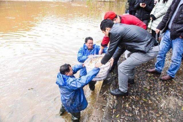 湖南一高校为全校师生开办全鱼宴 2000斤鱼免费吃