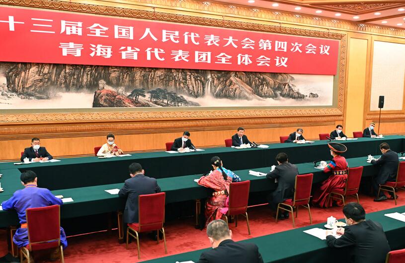 习近平参加青海代表团审议