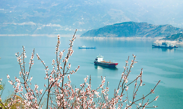 湖北宜昌：春到三峡