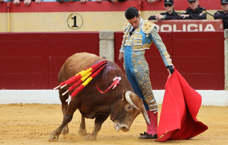 西班牙巴达霍斯举办斗牛比赛