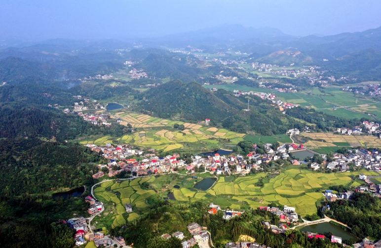 江西上栗：秋日山村 丰收画卷