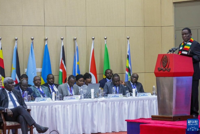 非洲领导人呼吁立即在刚果（金）停火