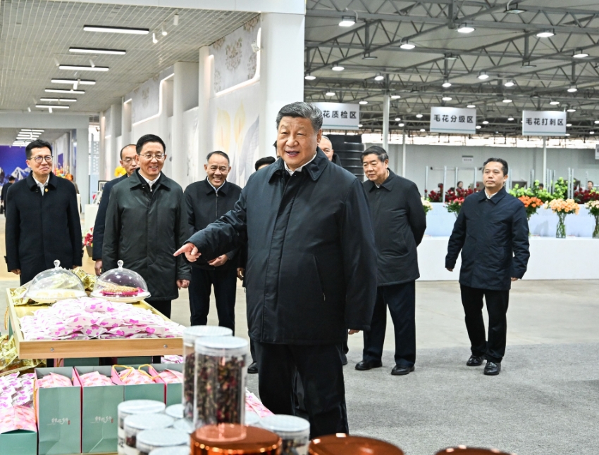 习近平在云南丽江市考察调研