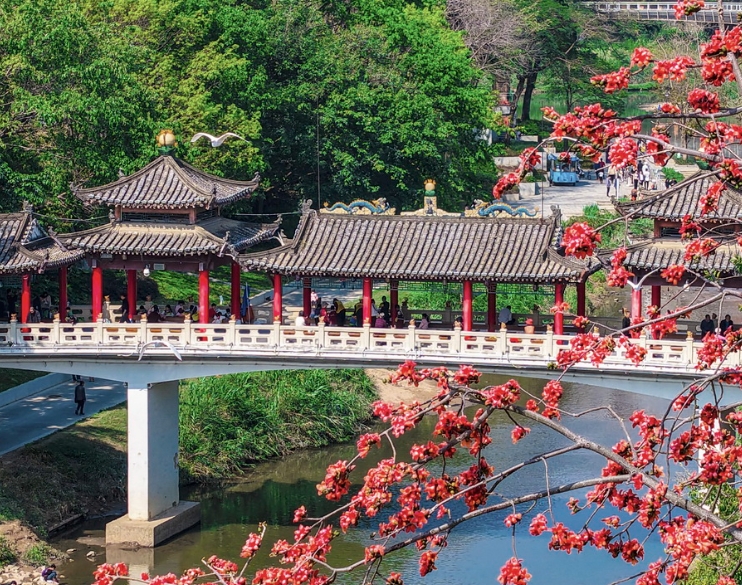 穿越时光的浪漫——当古建邂逅春光