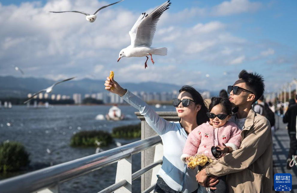 联合国气候变化贝伦大会开幕 呼吁合作应对气候危机