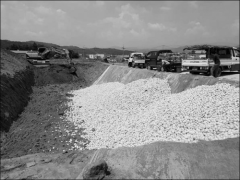 部署“萨德”致星州香瓜滞销被挖坑掩埋