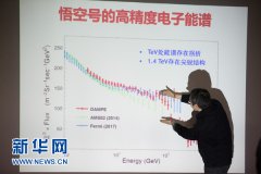 三问暗物质卫星首批科学成果 