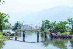 吃顿饭的工夫桥没了 温州平阳178岁古桥被挖塌