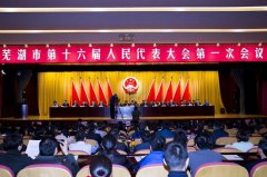 胡敏当选芜湖市中级人民法院院长并宣誓就职