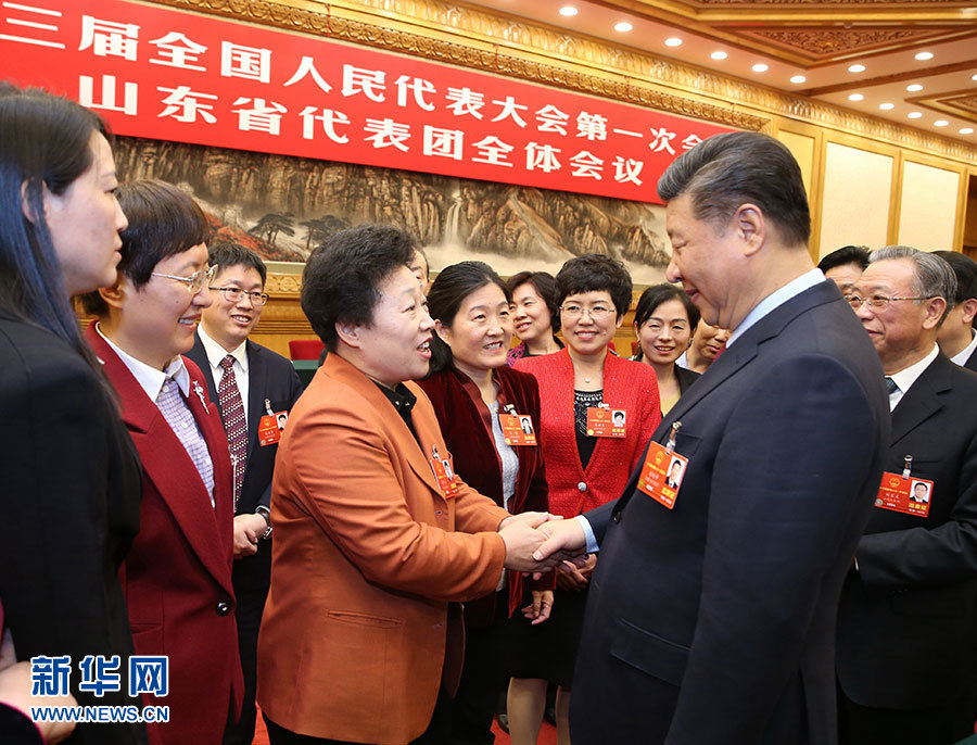 习近平李克强王沪宁赵乐际韩正分别参加全国人大会议一些代表