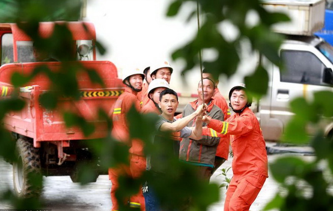 江西峡江：雨后大树压民房 消防救援排险情