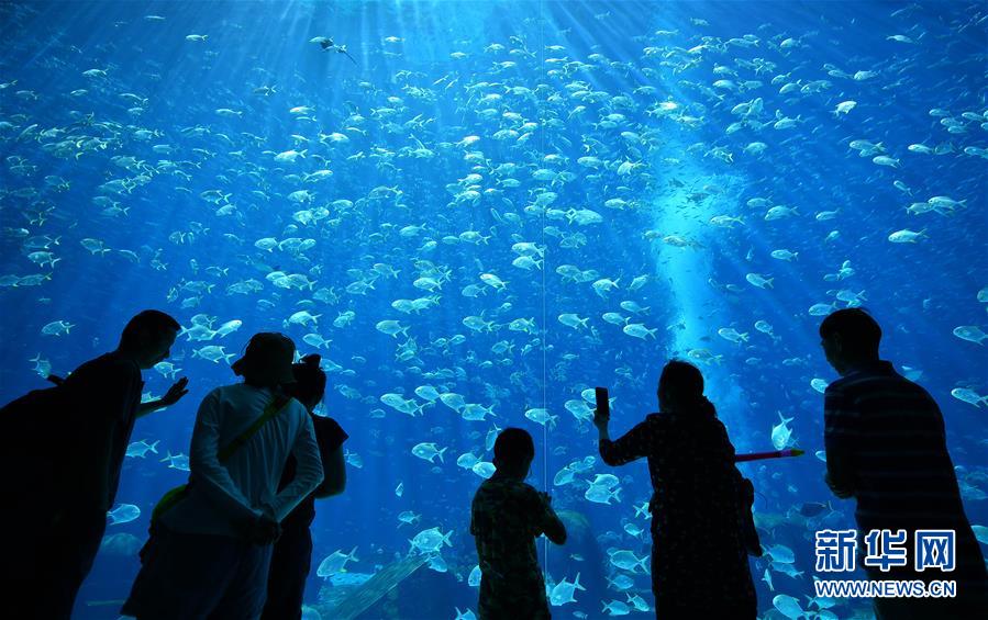 海南打造国际旅游消费中心
