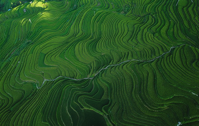 航拍贵州加榜梯田犹如绿色丝带壮美 大山手中的画卷与自然融为一体