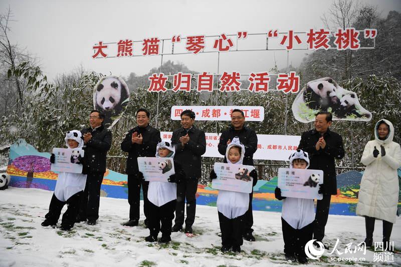 国家林业和草原局总经济师张鸿文、四川省人民政府副秘书长严卫东、中国大熊猫保护研究中心常务副主任张和民、都江堰市市长何维楷，共同为熊猫宝宝颁发都江堰市“居民身份证”。（李传有 摄）