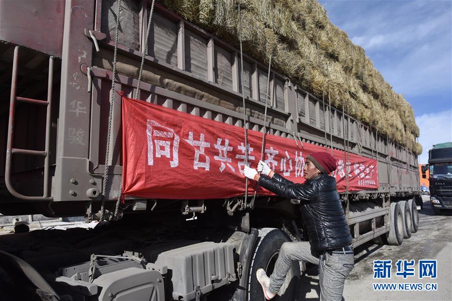 （图文互动）（1）情聚江源 千里驰援——京豫川等地援助青海玉树雪灾区