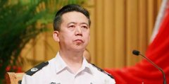 鲁炜、苏荣之后，又有“老虎”因涉及这些问题被双开