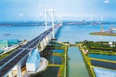 华侨华人同筑“大湾梦”