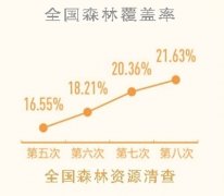 我国将因地制宜推进大规模国土绿化行动