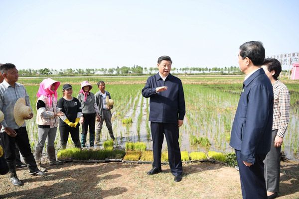 习近平在银川考察调研