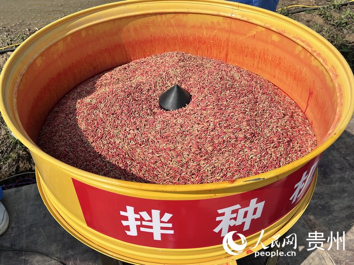 贵阳市堰塘村农机作业现场，拌种机正在运转。人民网 陈洁泉摄